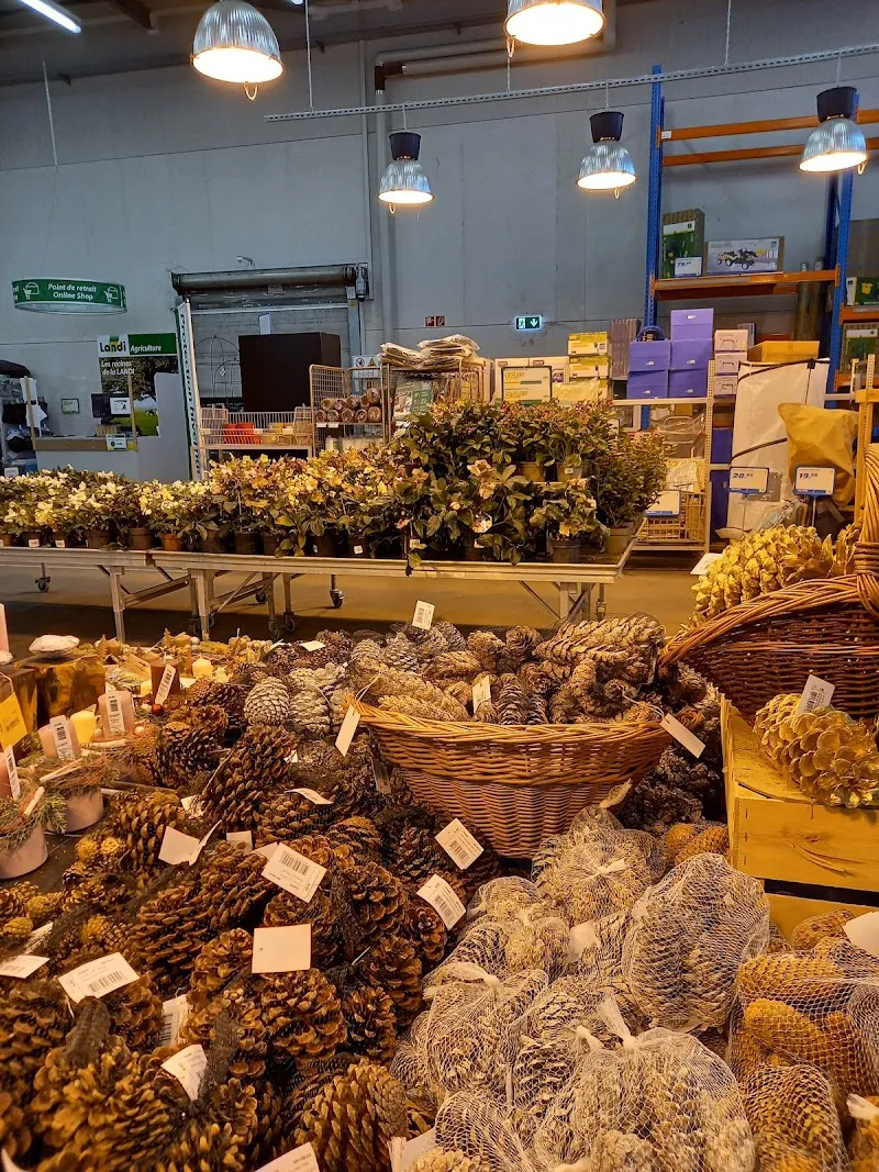 Landi Yverdon — Animalerie, Yverdon-les-Bains, Vaud. Foto 2