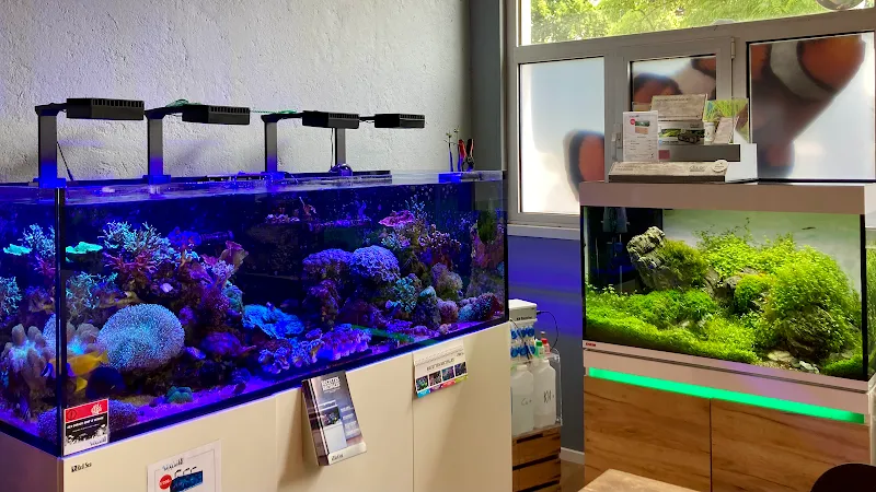 Le Scalaire — Zoofachhandel, Nyon, Waadt. Foto 2