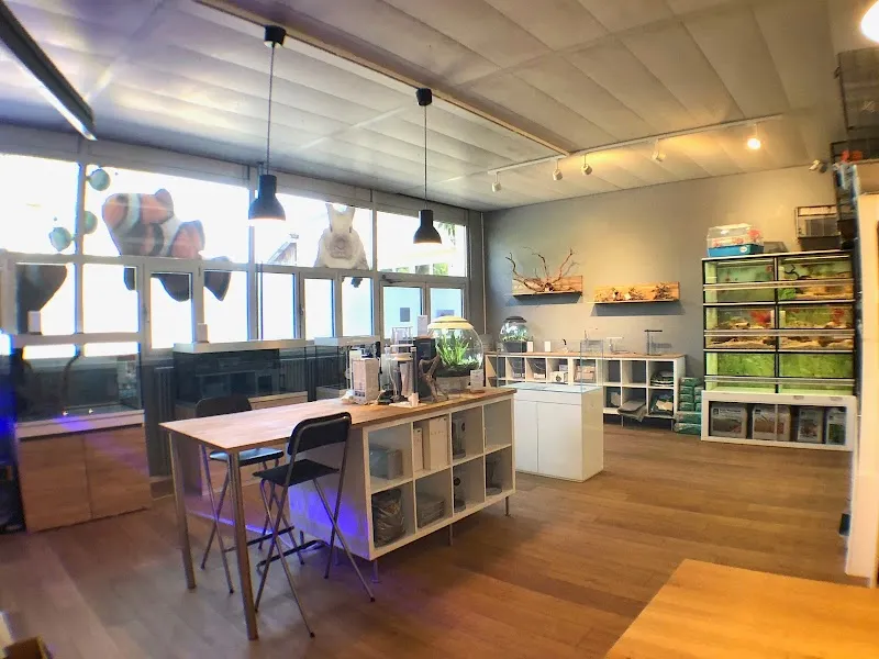 Le Scalaire — Zoofachhandel, Nyon, Waadt. Foto 3