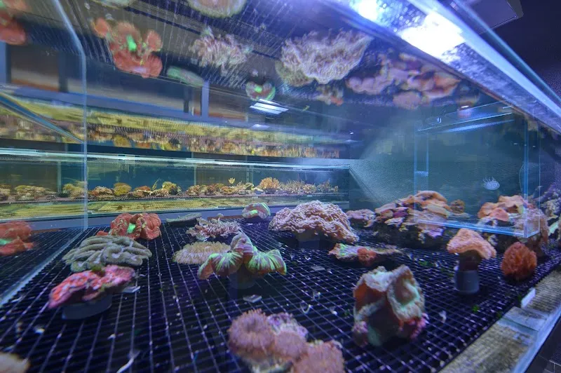 Maximum-Marine — Zoofachhandel in Ecublens, Waadt. Bewertung 4.7/5.