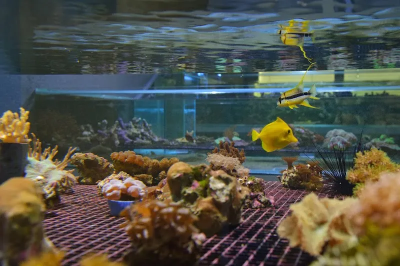 Maximum-Marine — Animalerie, Ecublens, Vaud. Foto 2