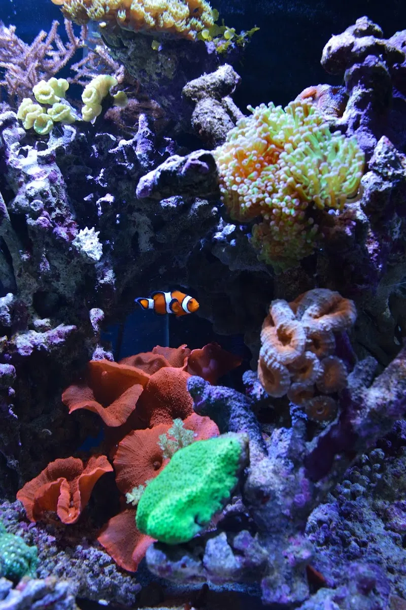 Maximum-Marine — Animalerie, Ecublens, Vaud. Foto 3