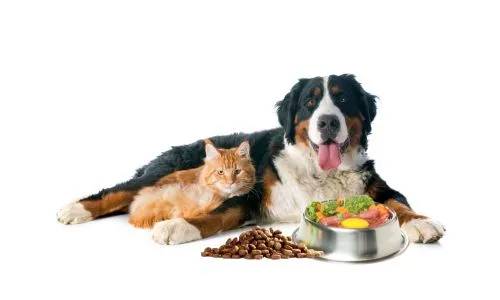 PET'S PLANET — Zoofachhandel in Mont-sur-Rolle, Waadt. Bewertung 4.9/5.