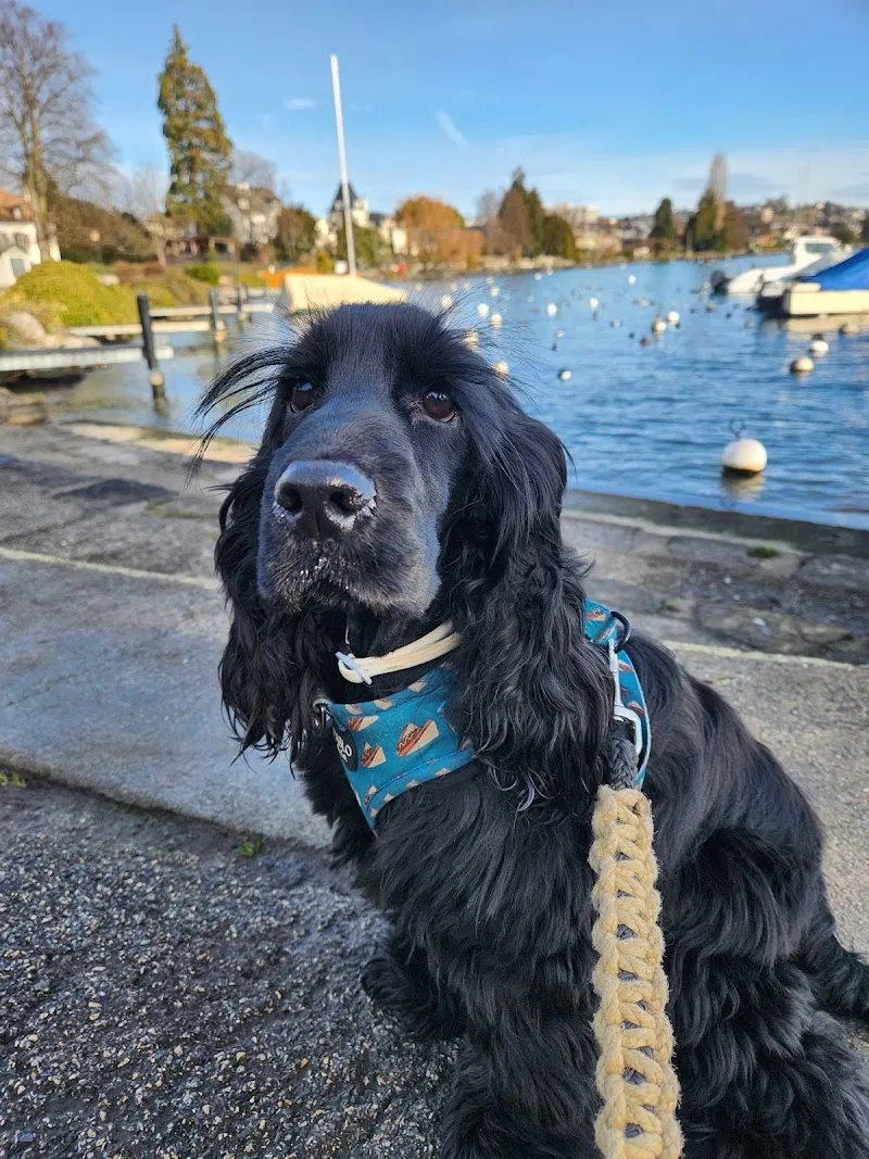 PET'S PLANET — Animalerie, Mont-sur-Rolle, Vaud. Foto 2