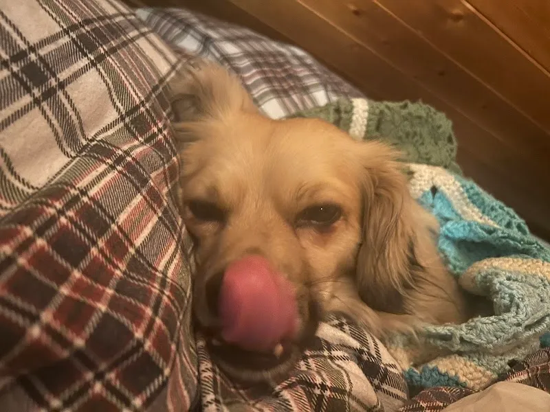 PET'S PLANET — Animalerie, Mont-sur-Rolle, Vaud. Foto 3