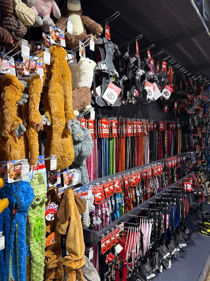 Petfriends Yverdon — Animalerie, Yverdon-les-Bains, Vaud. Foto 3