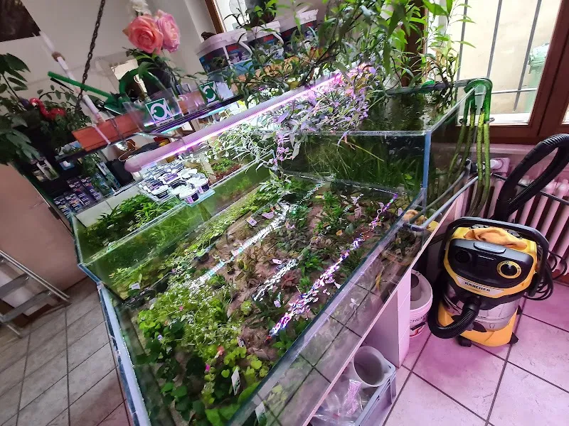 Poissons Passion & Bionimaux Sàrl — Animalerie, Lausanne, Vaud. Foto 2