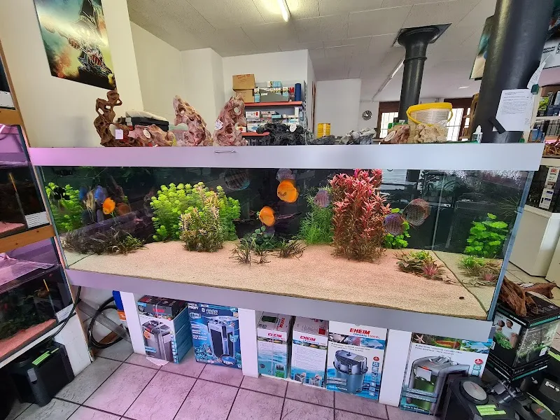 Poissons Passion & Bionimaux Sàrl — Animalerie, Lausanne, Vaud. Foto 3
