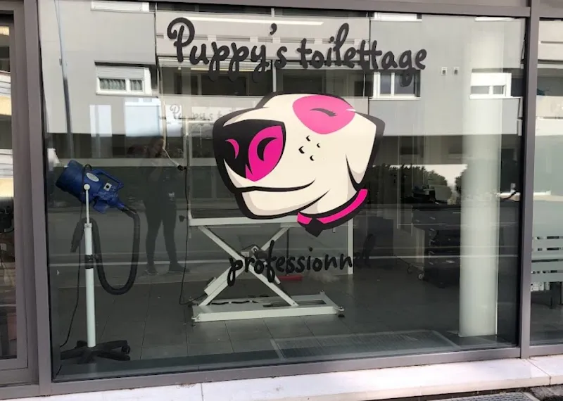 Puppy's toilettage professionnel — Tierdienste in Aigle, Waadt. Bewertung 4.6/5.