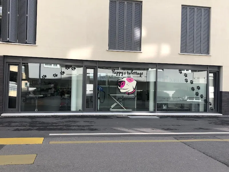 Puppy's toilettage professionnel — Servizio per animali, Aigle, Vaud. Foto 2