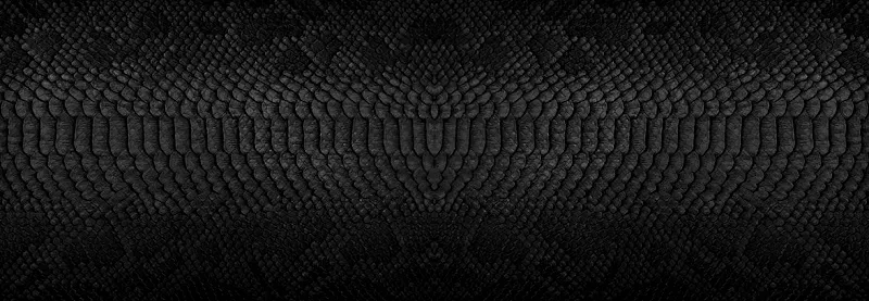 Ratking — Zoofachhandel in Palézieux, Waadt. Bewertung 5.0/5.