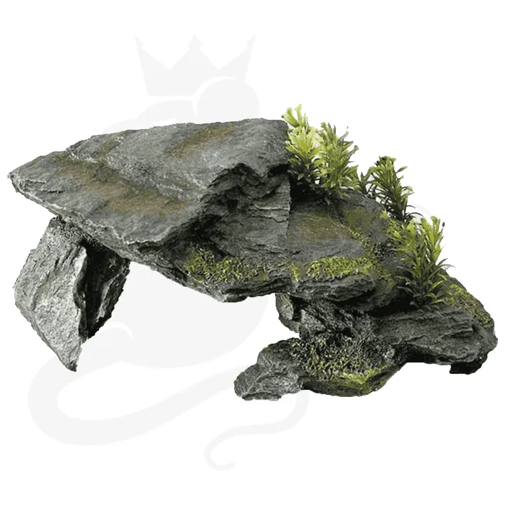 Ratking — Zoofachhandel, Palézieux, Waadt. Foto 2