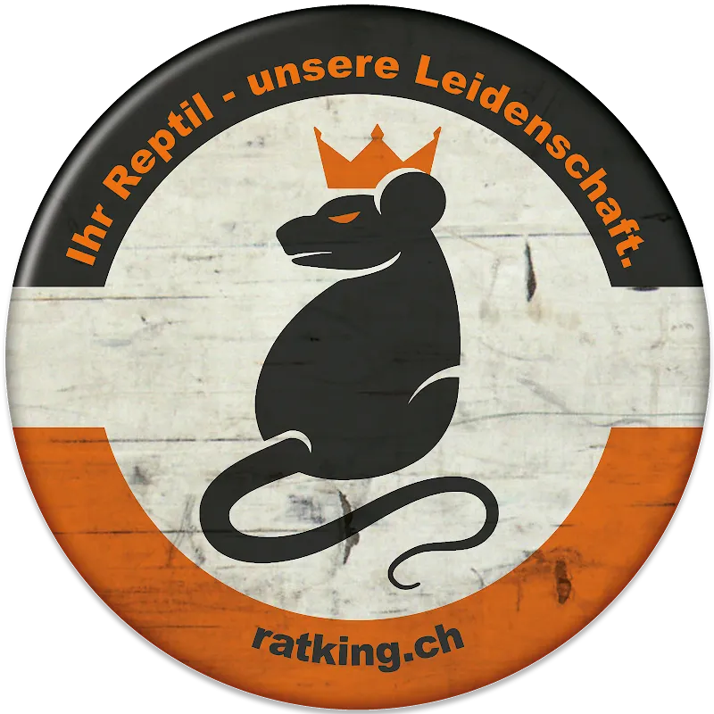 Ratking — Zoofachhandel, Palézieux, Waadt. Foto 3