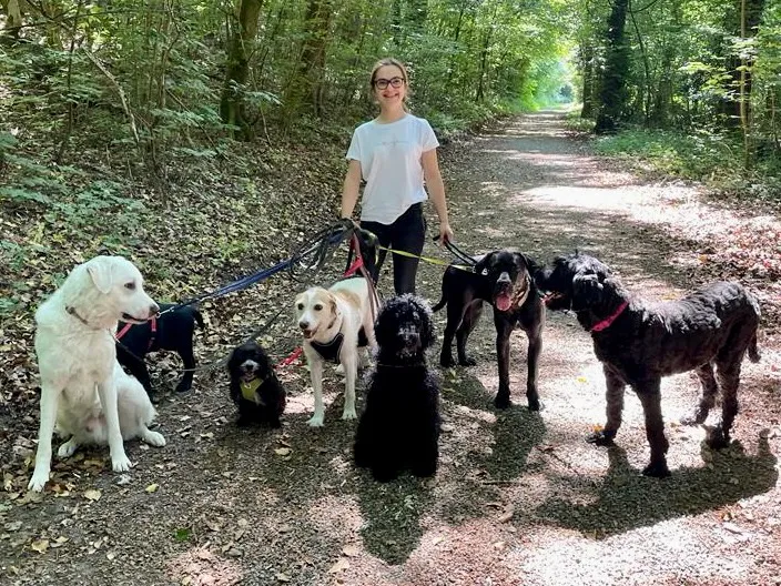 Die Tierpflegerin.ch — Katzenpension in Koblenz, Aargau. Bewertung 5.0/5.