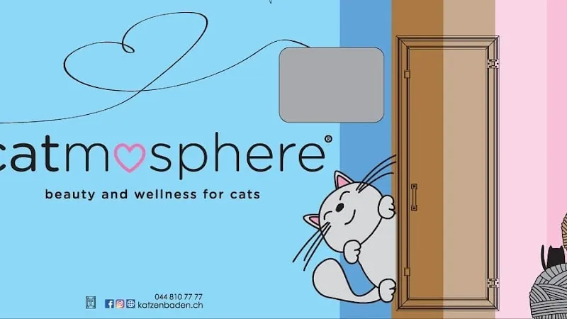 catmosphere Katzensalon / Katzencoiffeur Katzenbaden.ch Remetschwil — Pension pour chats, Remetschwil, Argovie. Foto 3