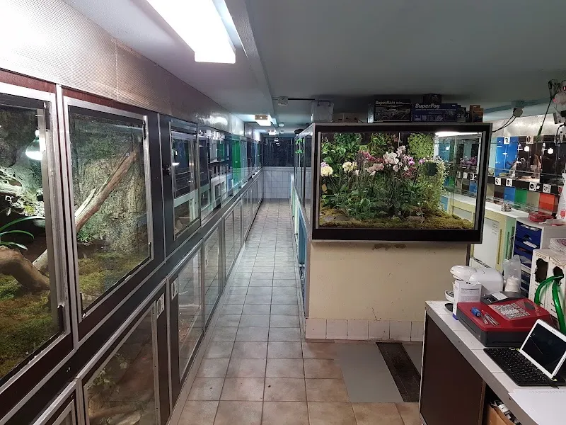 Reptiles Farm — Zoofachhandel, Servion, Waadt. Foto 3
