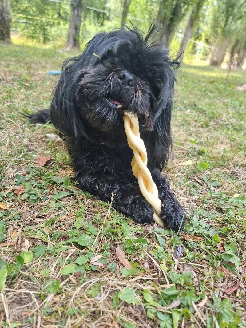 Régal'Animals — Zoofachhandel in Bavois, Waadt. Bewertung 5.0/5.