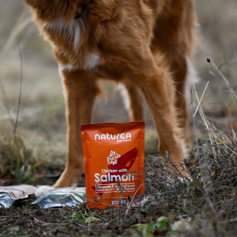 Régal'Animals — Zoofachhandel, Bavois, Waadt. Foto 2