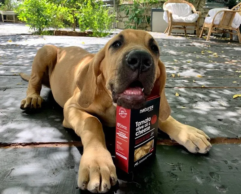 Régal'Animals — Zoofachhandel, Bavois, Waadt. Foto 3