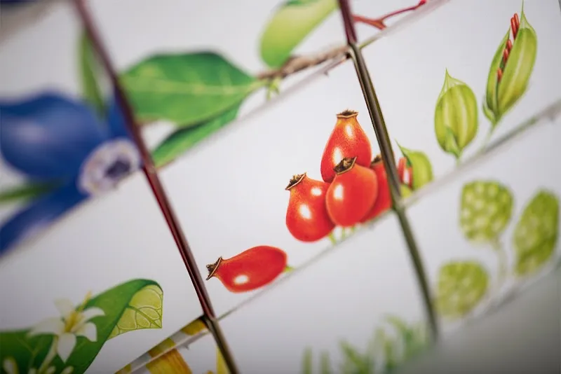 Sekoya — Zoofachhandel, Yverdon-les-Bains, Waadt. Foto 3