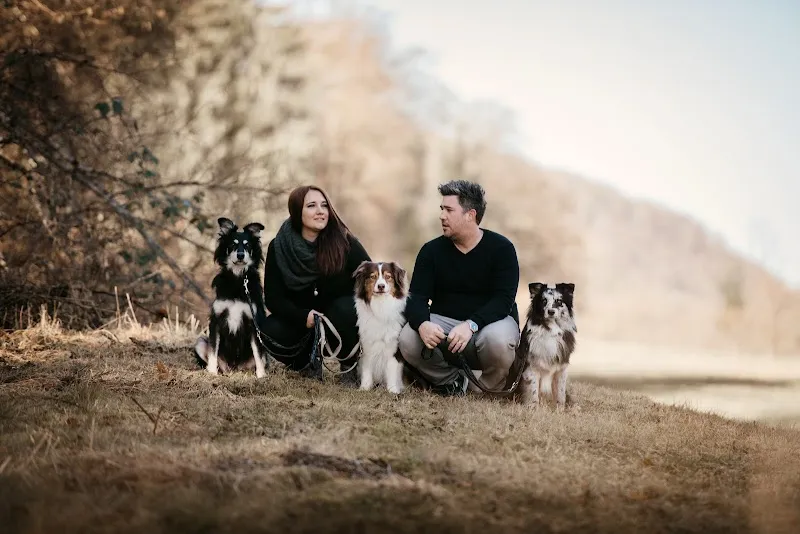 Dogcoach Schaffhausen KLG — Katzenpension in Schaffhausen, Schaffhausen. Bewertung 5.0/5.