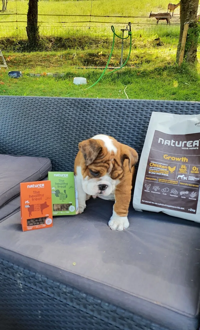 Top-Foods - Alimentation Animale — Zoofachhandel in Chavornay, Waadt. Bewertung 5.0/5.