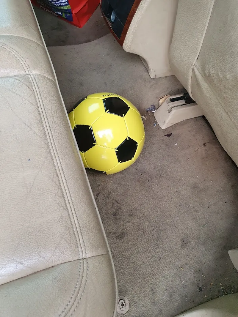 Top-Foods - Alimentation Animale — Animalerie, Chavornay, Vaud. Foto 3