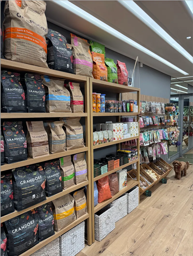 4 Paws Avenue — Zoofachhandel, Crans-Montana, Wallis. Foto 2