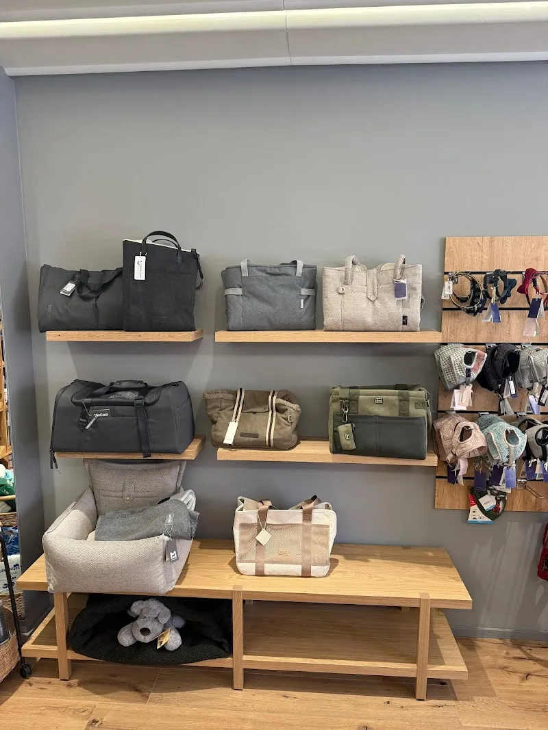 4 Paws Avenue — Zoofachhandel, Crans-Montana, Wallis. Foto 3