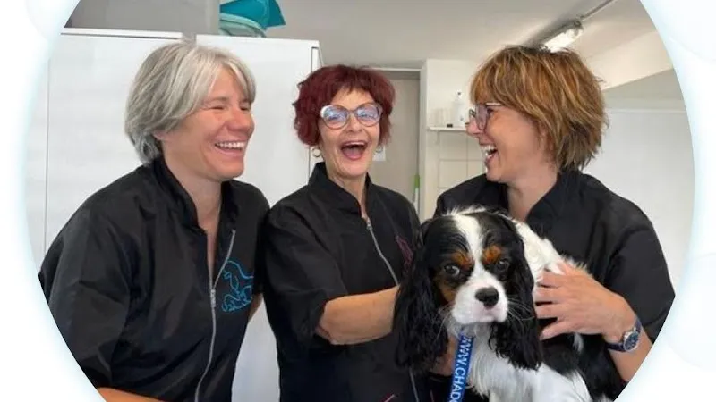 Canicat — Zoofachhandel in Sion, Wallis. Bewertung 5.0/5.