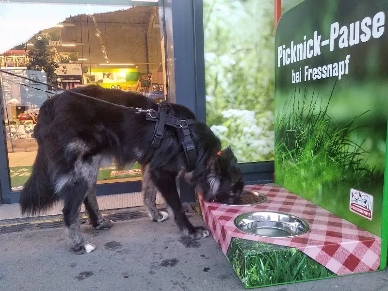 Fressnapf Visp — Zoofachhandel, Visp, Wallis. Foto 3