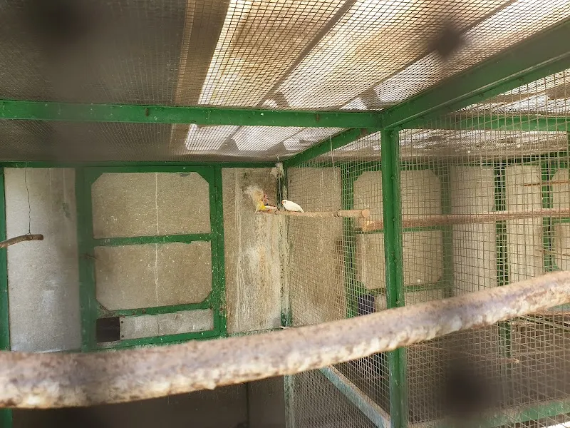 Mini Zoo — Zoofachhandel in Sierre, Wallis. Bewertung 4.3/5.