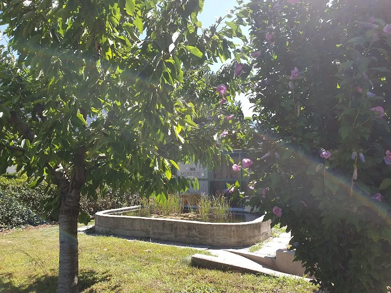 Mini Zoo — Zoofachhandel, Sierre, Wallis. Foto 2