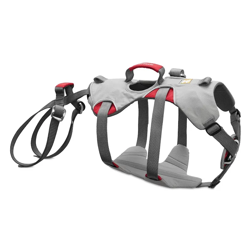 Pat'à Pattes — Zoofachhandel in Saint-Léonard, Wallis. Bewertung 3.9/5.