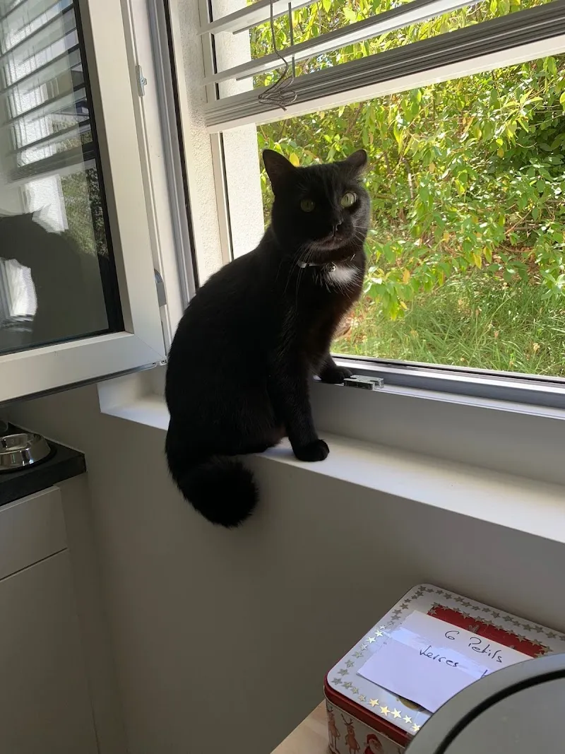 Petfriends.ch — Zoofachhandel, Sion, Wallis. Foto 3