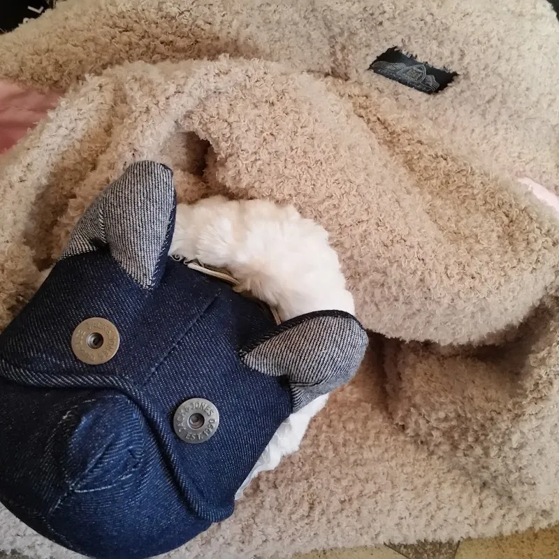 wuffmiau Shop By Puppy Angel — Animalerie, Naters, Valais. Foto 3