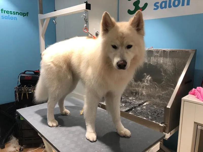 Fressnapf Salon Baar — Zoofachhandel, Baar, Zug. Foto 2