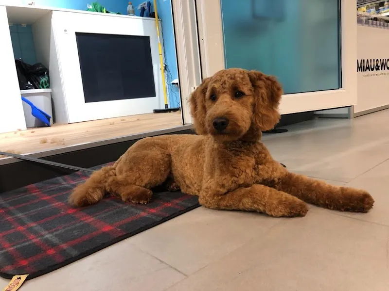 Fressnapf Salon Baar — Zoofachhandel, Baar, Zug. Foto 3