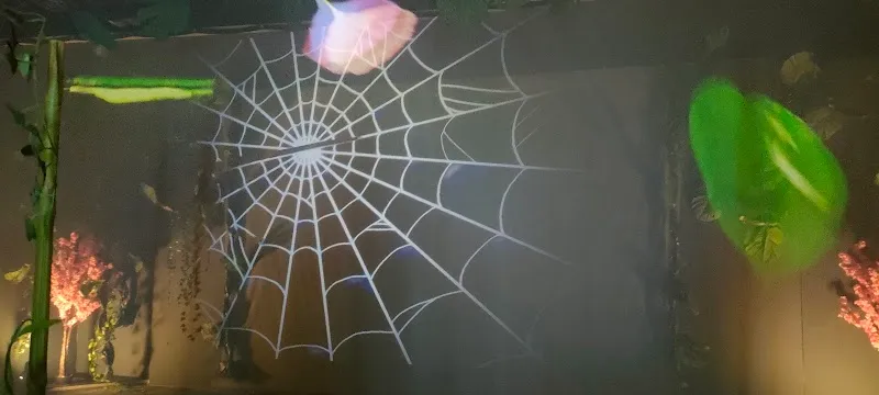 Hologram Zoo Schweiz AG — Animalerie, Zug, Zoug. Foto 2