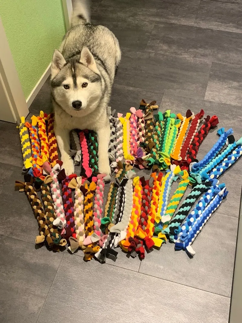 Swiss Dog Toys — Zoofachhandel in Steinhausen, Zug. Bewertung 5.0/5.