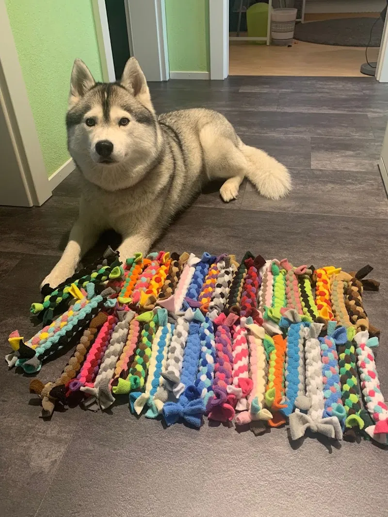 Swiss Dog Toys — Animalerie, Steinhausen, Zoug. Foto 3