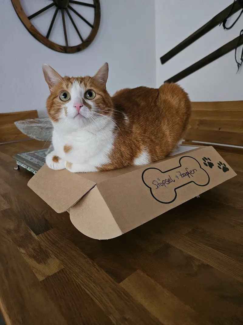 Woofbox GmbH — Animalerie, Cham, Zoug. Foto 2