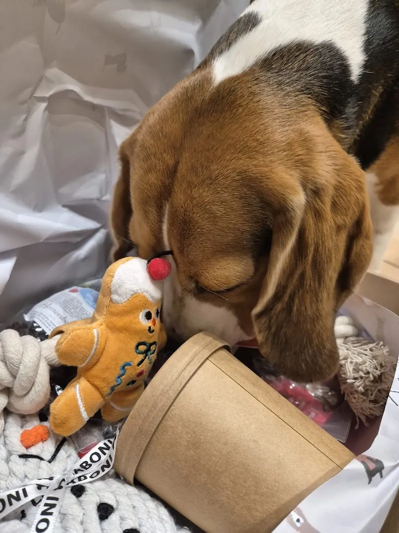 Woofbox GmbH — Animalerie, Cham, Zoug. Foto 3