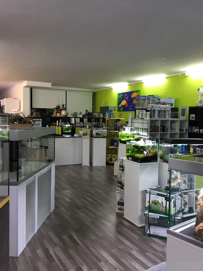 Aqua Designs GmbH — Zoofachhandel, Winterthur, Zürich. Foto 3