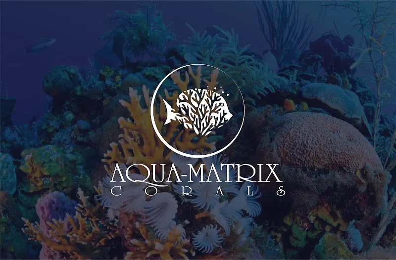 Aqua-Matrix Corals GmbH — Zoofachhandel, Horgen, Zürich. Foto 3