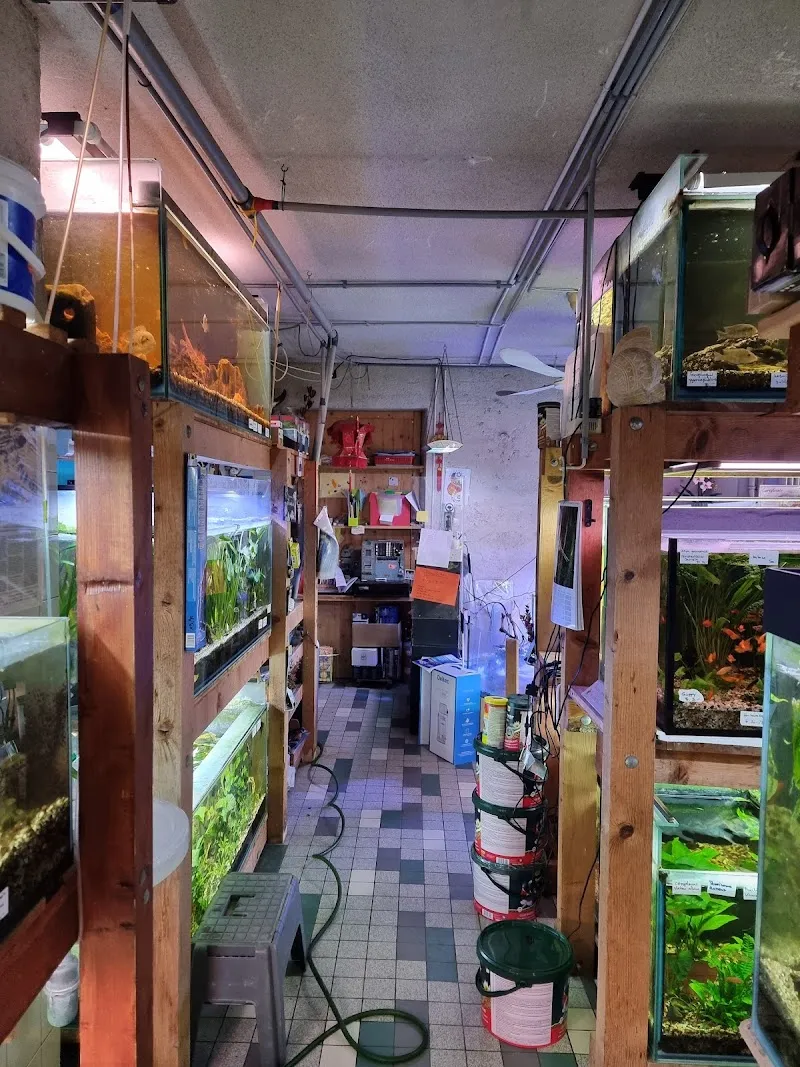 Aquarium Bäch — Animalerie, Bäch SZ, Schwyz. Foto 2