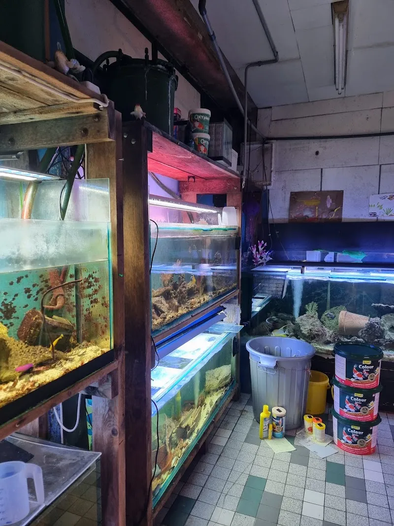 Aquarium Bäch — Animalerie, Bäch SZ, Schwyz. Foto 3