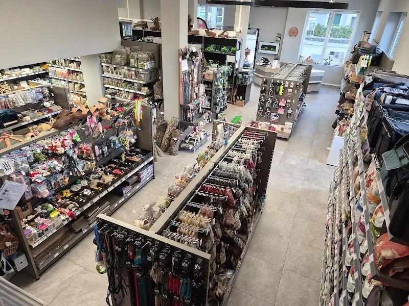 Aquarium Seerose, Zoofachgeschäft S. Leuch — Animalerie, Zürich, Zurich. Foto 2