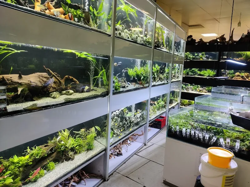 Aquarium Seerose, Zoofachgeschäft S. Leuch — Animalerie, Zürich, Zurich. Foto 3