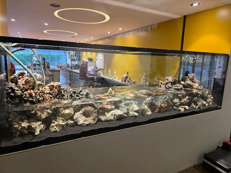 Aquarium und Teich AG — Zoofachhandel, Villmergen, Aargau. Foto 3